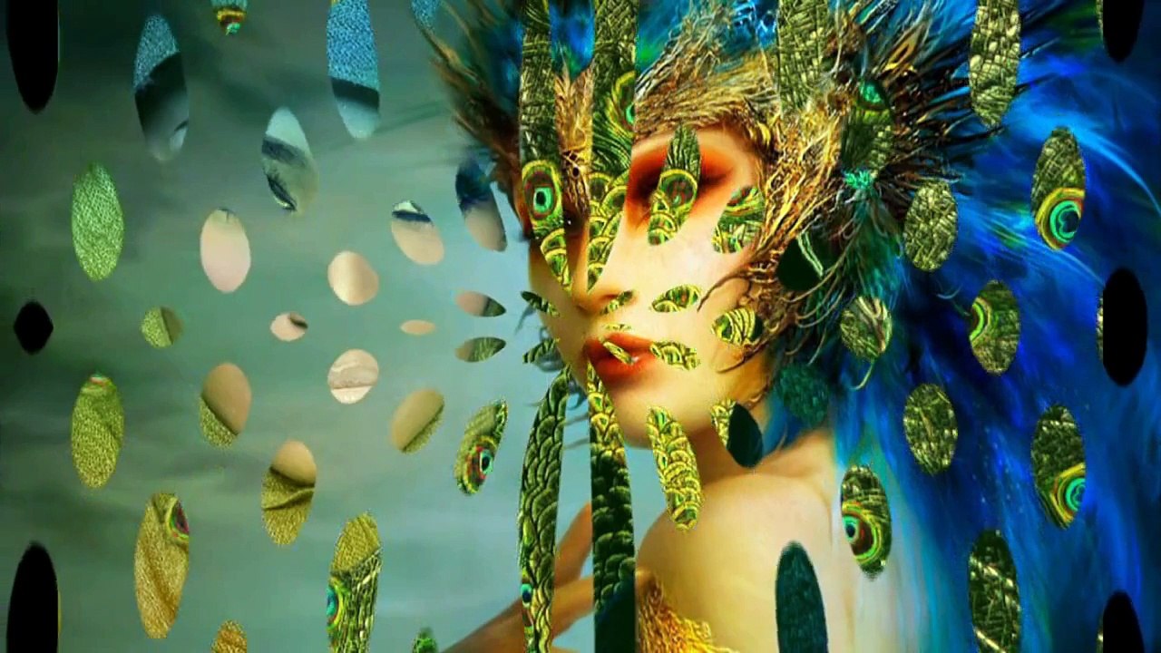 PEACOCK -PAUN