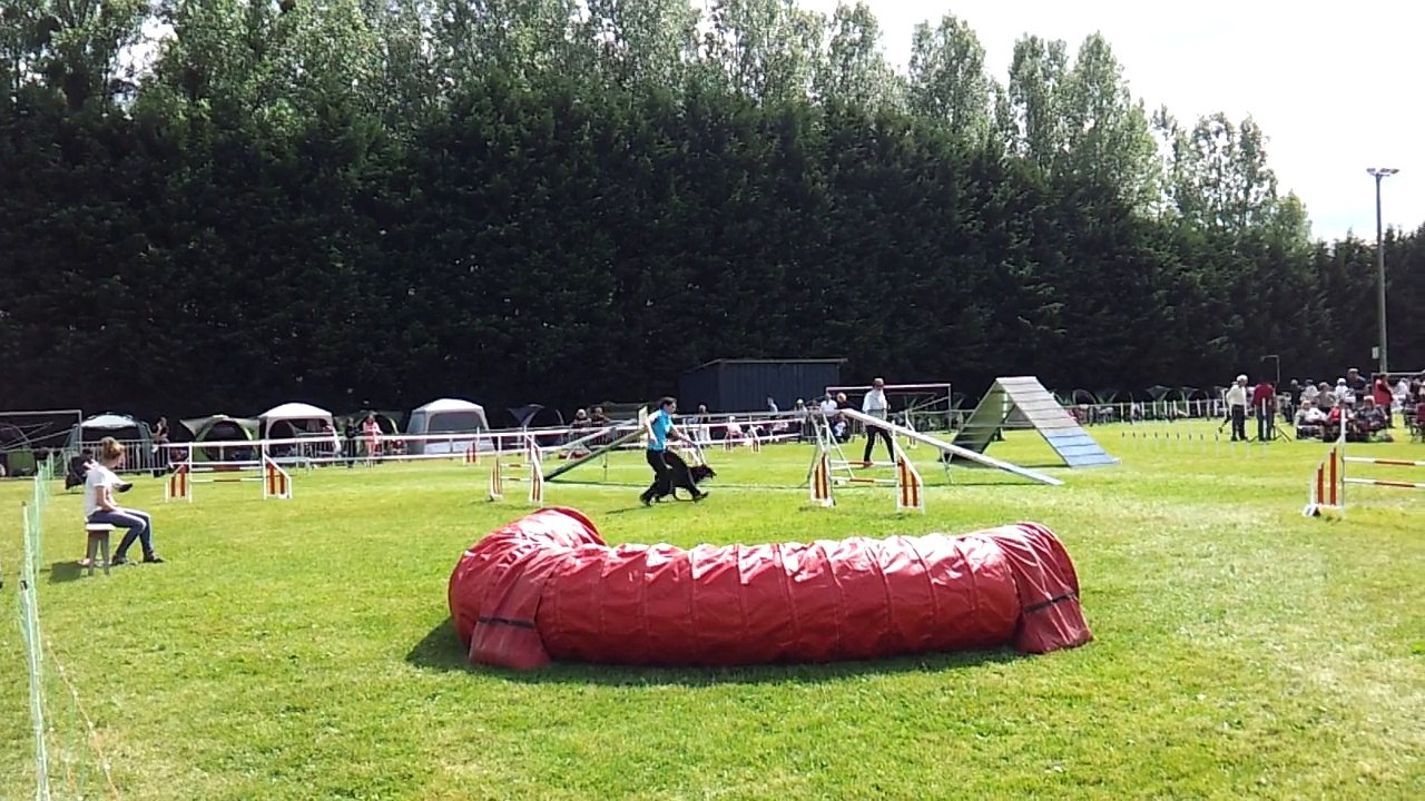 Fibule agility trophee Mai 2015