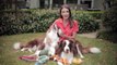 Raising Two Puppies - Q & A's with Dr Katrina