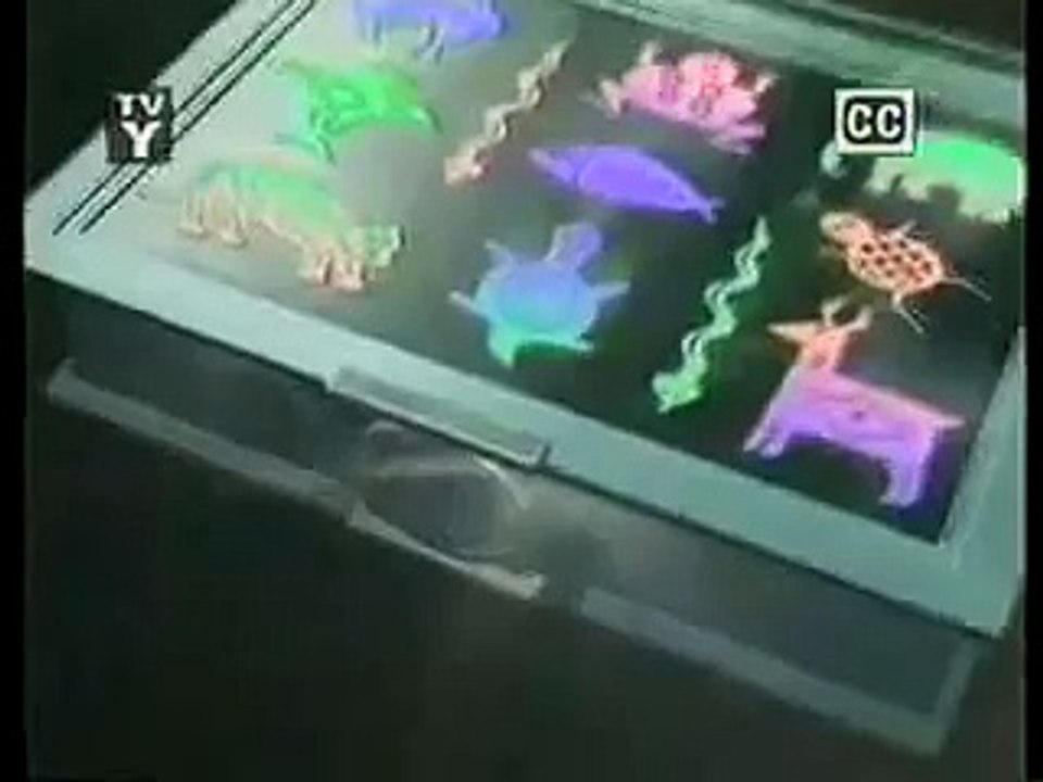 Animales Asombrosos / Henry's Amazing Animals - Intro