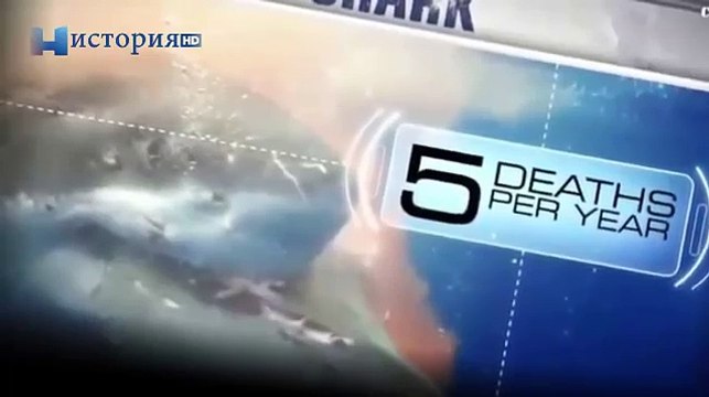 Топ 5 Хищники людоеды убивающее людей. Самые опасные убийцы людей / Тигры убивают 800 человек в год