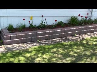 backyard garden in High Def