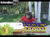 Grupo Enlace - Tu me vas a dejar