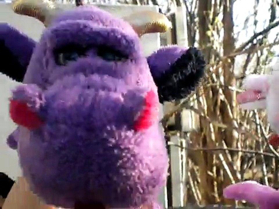 the webkinz dragon show