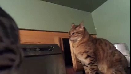 ملا فجعة كلاها ههههه