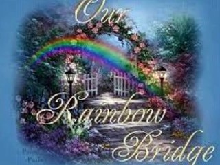 Rainbow Bridge, No More Homeless Dogs at Rainbow Bridge