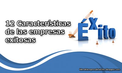 12 Caracteristicas de las empresas exitosas
