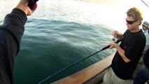 Mirage Sportfishing - California Halibut Fishing 55lb and 36lb  08.17.2011 Channel Islands