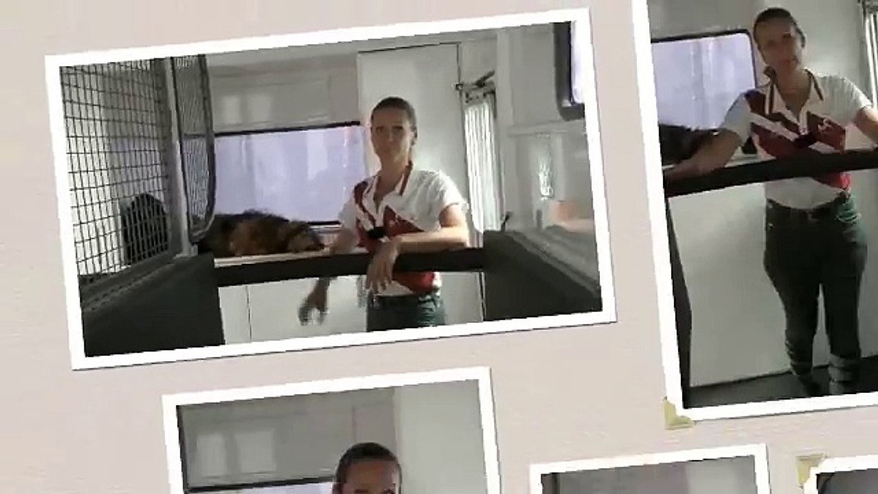 Buy Horse Floats, Horse Floats For Sale, Horse Floats Victoria