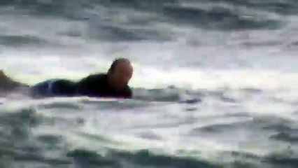 Aussie Man Rescues Kangaroo From Surf in Shark Waters on Gold Coast