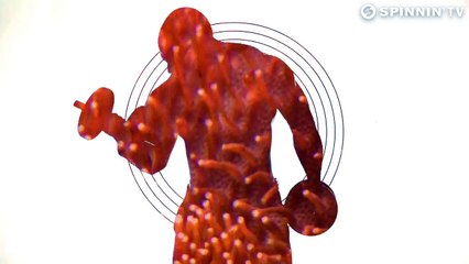 David Tort & Moska - Music Feeds My Soul Feat. Danielle Simeone (Lyric Video)