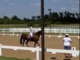 nsh saddlebred dressage test level 1 test 1