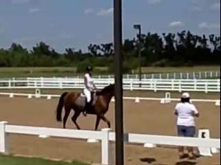 nsh saddlebred dressage test level 1 test 1
