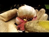 Huerto urbano / Macetohuerto - Cultivo de ajos en maceta