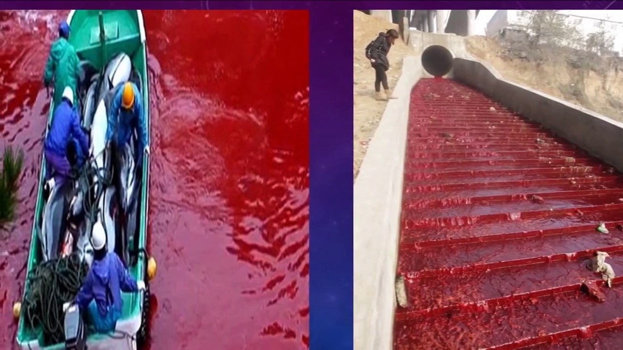 WATER BECOMES BLOOD RED