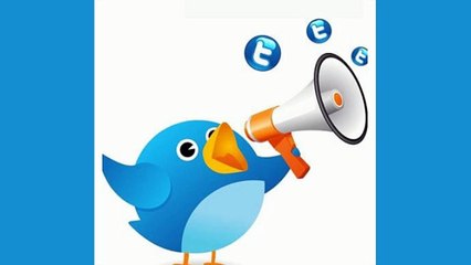 Buy Real Twitter Followers