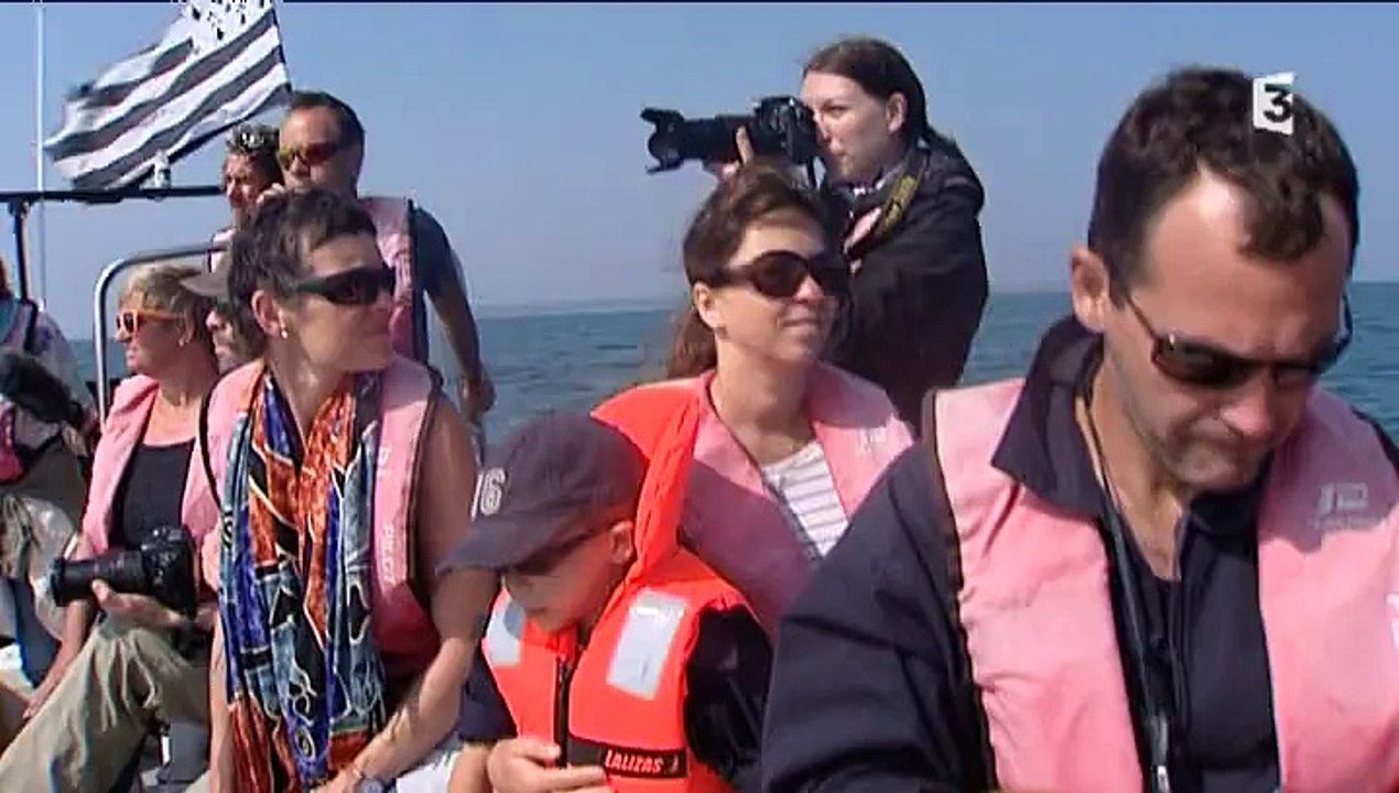 En ballade avec les dauphins de Cancale