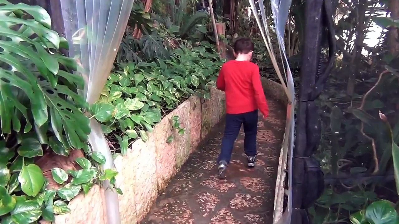 Dinosauri di Leonardo - A spasso con i dinosauri