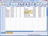 02 - Trasladar la matriz de datos de Excel a SPSS [Curso de estadística]