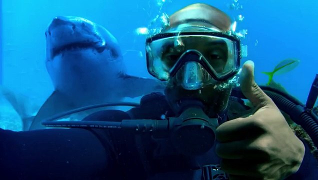 Turkish Airlines : Kobe vs Messi