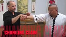 Form to Fighting: The Techniques of Eagle Claw Kung Fu — The Claw