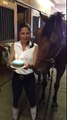 Un cheval souffle les bougies de son gâteau d'anniversaire