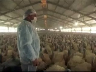 Seçim Öncesi Miting