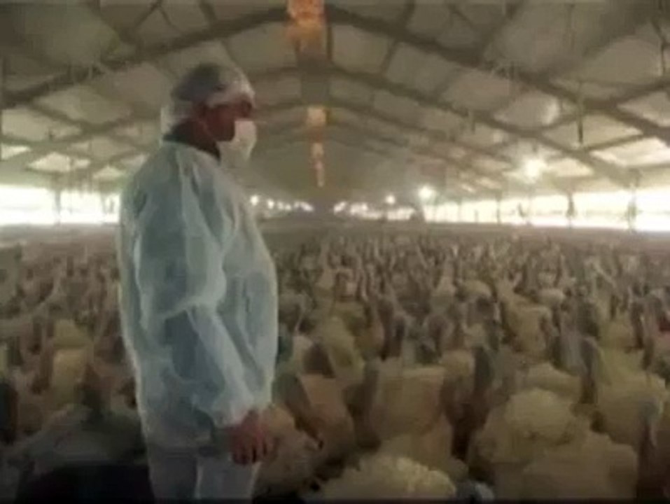 Seçim Öncesi Miting