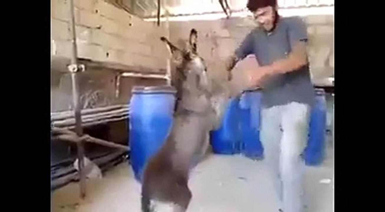 Naya Pakistan