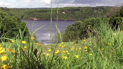 VIDEO. Top du tourisme : en bateau électrique sur le lac d'Éguzon