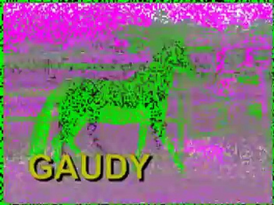 Gaudy