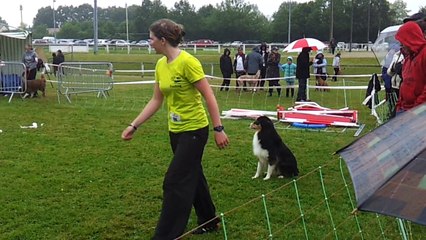 Feeling agility 2 trophée Mai 2015