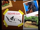 PSA Jalan Sesama: Bangga Menjadi Anak Indonesia versi Hewan - didukung oleh Blue Bird
