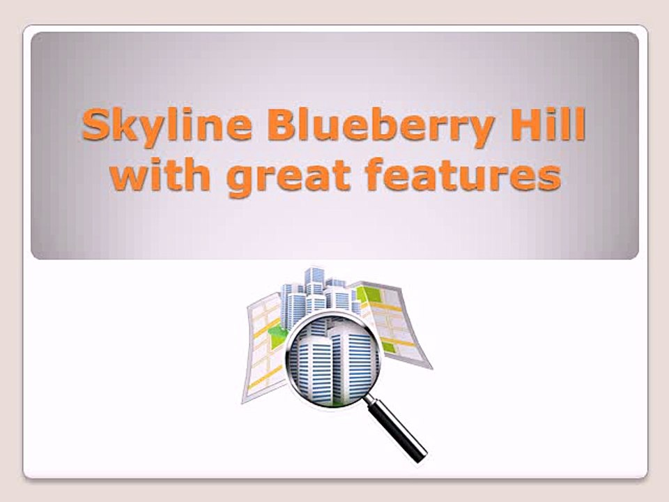 Skyline Blueberry Hill with great features