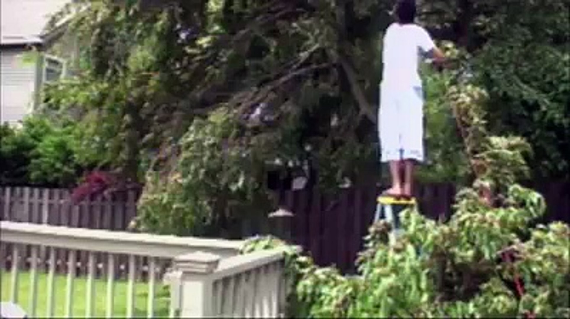ПРИКОЛЫ