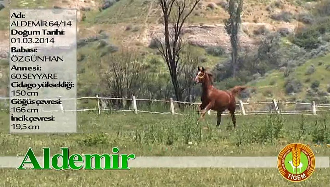ALDEMİR