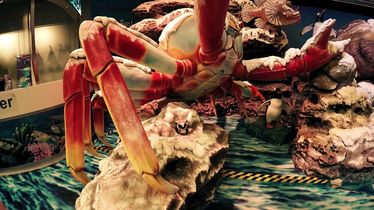 Katta DerLemur in Thailand Sea Life 2015