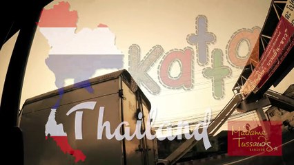 Katta DerLemur in Thailand Madame Tussauds 2015