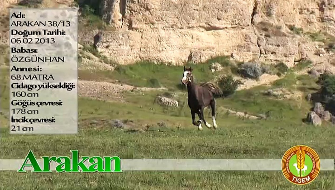 ARAKAN