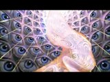Terence McKenna - A Future Without Fear