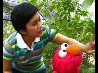 Jalan Sesama: Elmo -- Kupu-Kupu