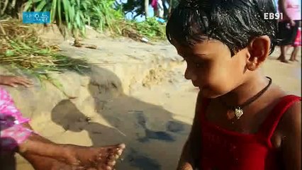 다큐 오늘.E257.150603