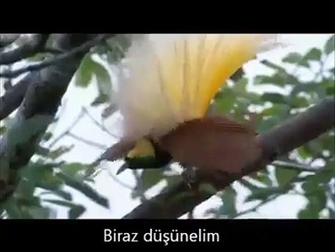 SubhanAllah...Daha önce böyle bir güzellik gördünüz mü?| bit.ly/Lailaheillallah
