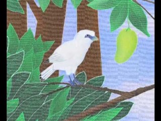 ANI - Buah Kita Bersama.mp4