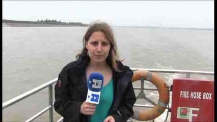 Informe a cámara: Aumenta a 26 la cifra de muertos en el naufragio mientras prosigue el rescate