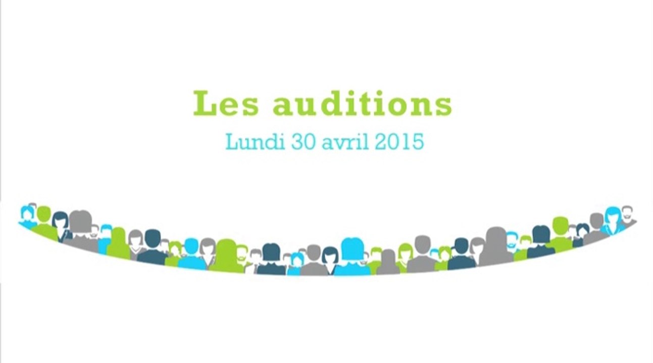 Démocratie Participative : audition 30 avril 2015