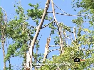 Vlada će pomoći obnovu šuma, 03. jun 2015. (RTV Bor)