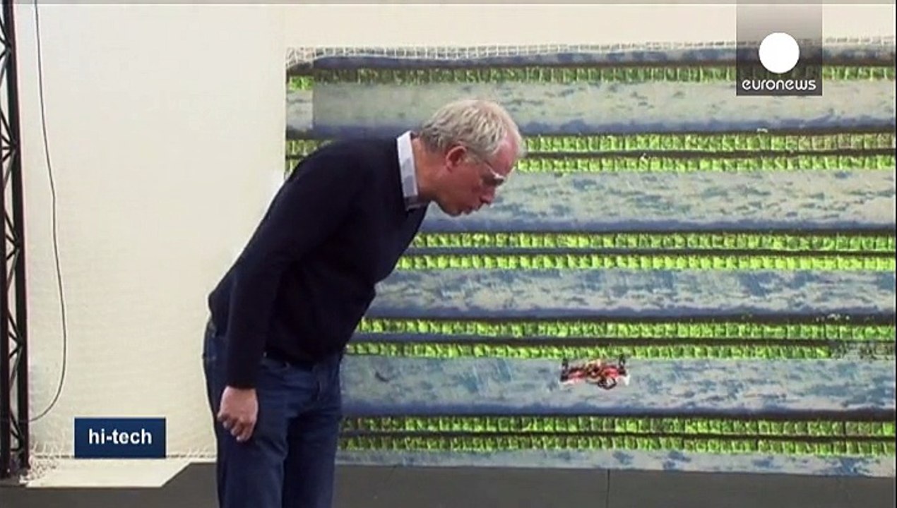 Drohnen, die wie Bienen fliegen