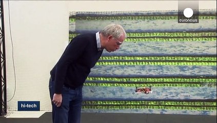 Bee rotor navigates like an insect