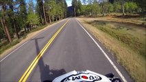 Biker VS dead deer on side of road... Whith a balloon around its neck